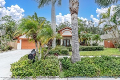Beach Home For Sale in Tampa, Florida