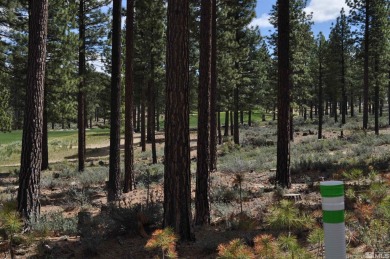 Beach Acreage For Sale in Carson City, Nevada