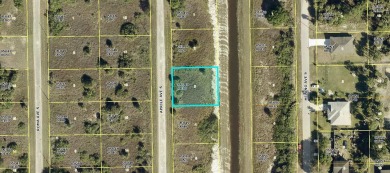 Beach Lot For Sale in Lehigh Acres, Florida