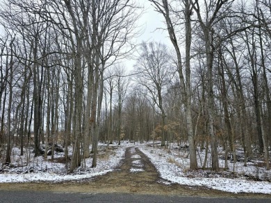 Beach Acreage For Sale in Covert, Michigan