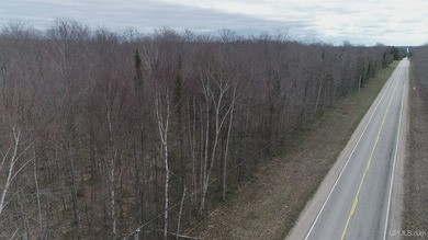 Beach Acreage For Sale in Gulliver, Michigan