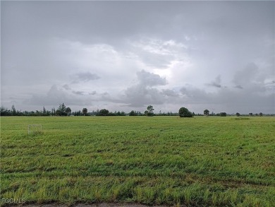 Beach Lot For Sale in Placida, Florida