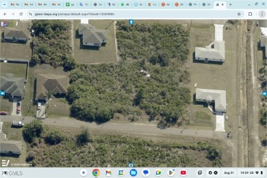 Beach Lot For Sale in Lehigh Acres, Florida