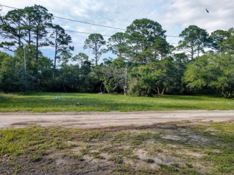 Beach Lot Off Market in Carabelle, Florida