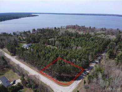 Beach Lot For Sale in Manistique, Michigan