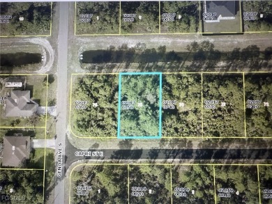 Beach Lot For Sale in Lehigh Acres, Florida