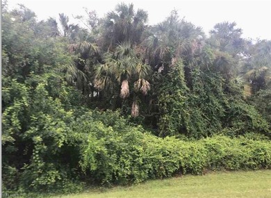 Beach Acreage For Sale in Naples, Florida
