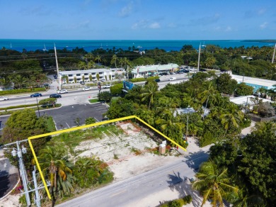 Beach Lot For Sale in Upper Matecumbe Key, Florida