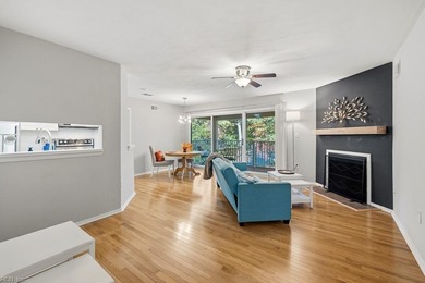 Beach Condo For Sale in Virginia Beach, Virginia