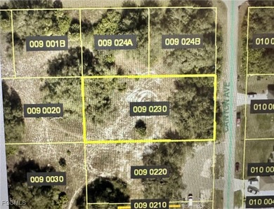 Beach Lot For Sale in Lehigh Acres, Florida