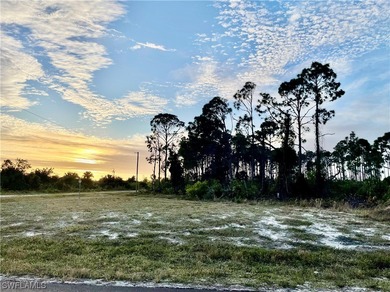 Beach Acreage For Sale in Cape Coral, Florida