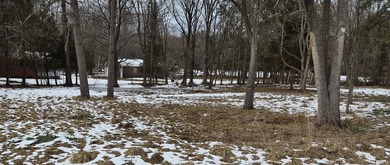 Beach Lot For Sale in Onekama, Michigan