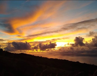 Beach Acreage For Sale in Hana, Hawaii