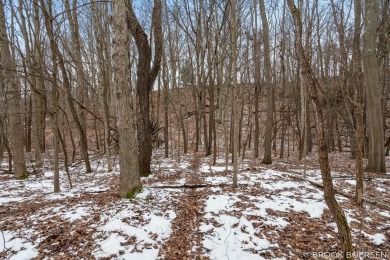 Beach Acreage For Sale in Holland, Michigan