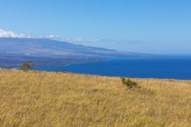 Beach Acreage For Sale in Kamuela, Hawaii