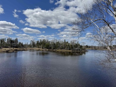 Beach Acreage For Sale in East Port Medway, 