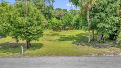 Beach Lot For Sale in New Smyrna Beach, Florida