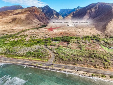 Beach Acreage For Sale in Lahaina, Hawaii