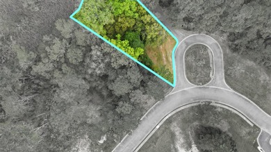 Beach Lot Sale Pending in Georgetown, South Carolina