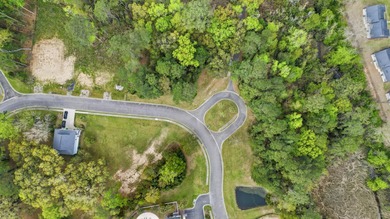 Beach Lot Sale Pending in Georgetown, South Carolina