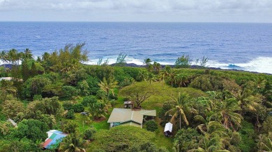 Beach Acreage For Sale in Pahoa, Hawaii
