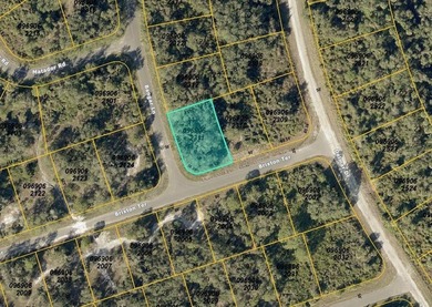 Beach Lot For Sale in North Port, Florida