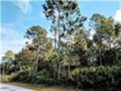 Beach Lot For Sale in Palm Coast, Florida
