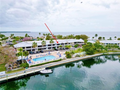 Beach Condo For Sale in Ruskin, Florida