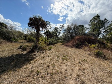 Beach Acreage For Sale in Punta Gorda, Florida