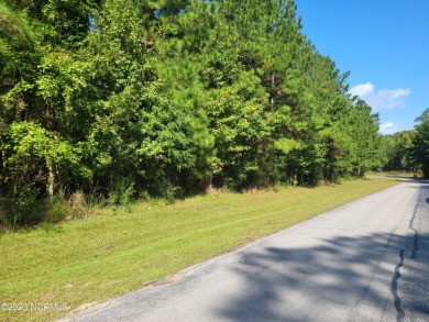 Beach Acreage For Sale in Beaufort, North Carolina