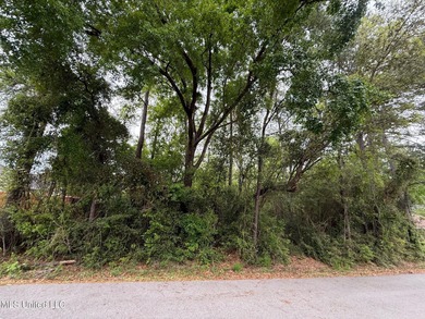 Beach Lot For Sale in Diamondhead, Mississippi