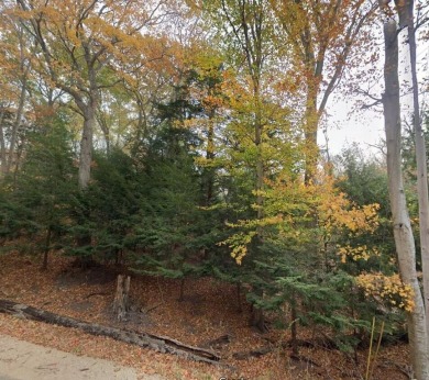 Beach Acreage For Sale in Manistee, Michigan
