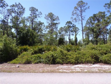 Beach Lot For Sale in Punta Gorda, Florida