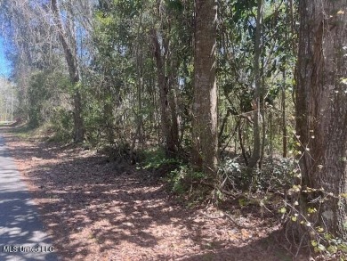 Beach Lot For Sale in Ocean Springs, Mississippi