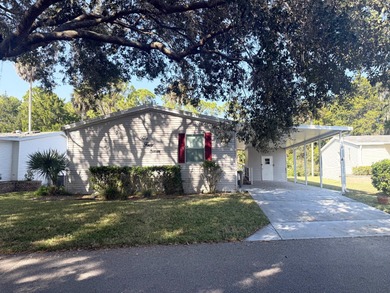 Beach Home For Sale in Flagler Beach, Florida