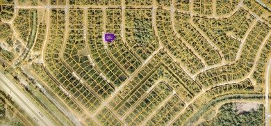 Beach Lot For Sale in North Port, Florida