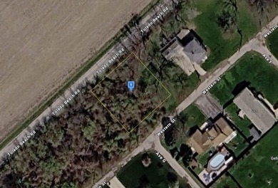 Beach Lot For Sale in La Salle, Michigan