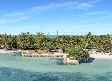 Beach Lot For Sale in Lower Matecumbe Key, Florida