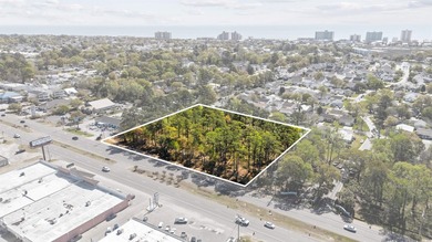 Beach Commercial For Sale in Murrells Inlet, South Carolina