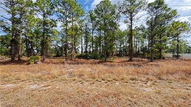 Beach Lot For Sale in Lehigh Acres, Florida