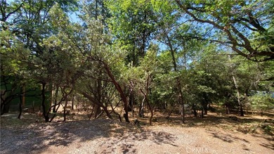 Beach Lot For Sale in Loch Lomond, California