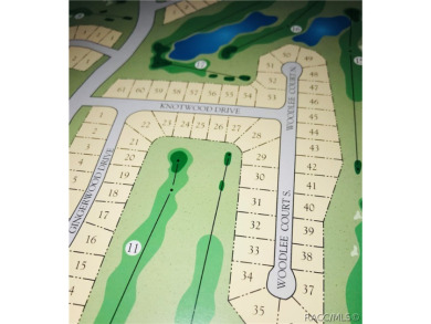 Beach Lot For Sale in Homosassa, Florida