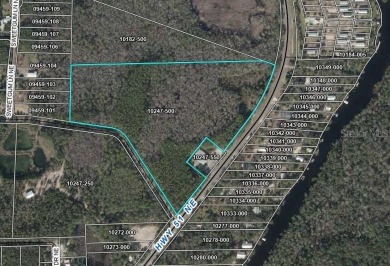 Beach Acreage For Sale in Steinhatchee, Florida