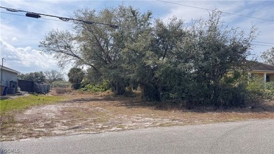 Beach Lot For Sale in Lehigh Acres, Florida
