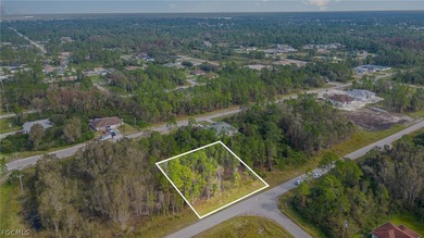 Beach Lot For Sale in Lehigh Acres, Florida