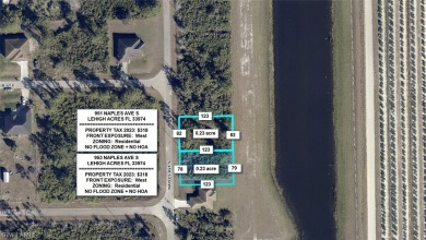 Beach Lot For Sale in Lehigh Acres, Florida