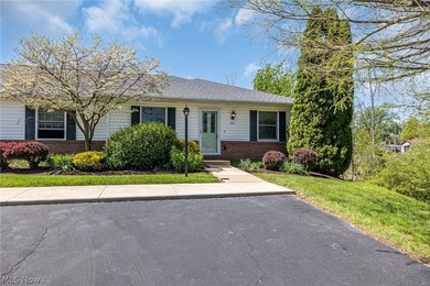 Beach Condo For Sale in Huron, Ohio