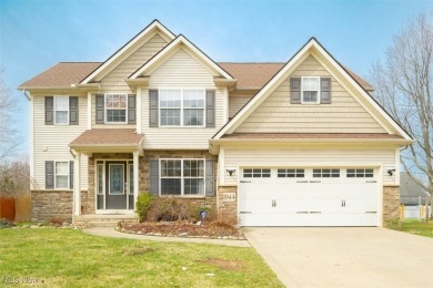 Beach Home For Sale in Madison, Ohio