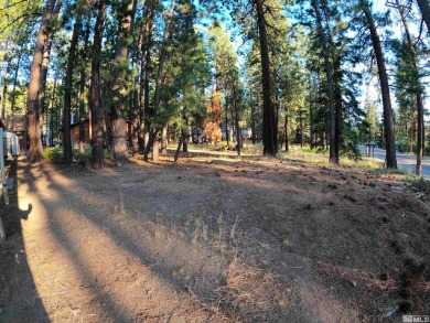 Beach Lot For Sale in South Lake Tahoe, California