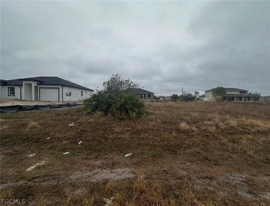 Beach Lot For Sale in Lehigh Acres, Florida
